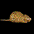 rat
